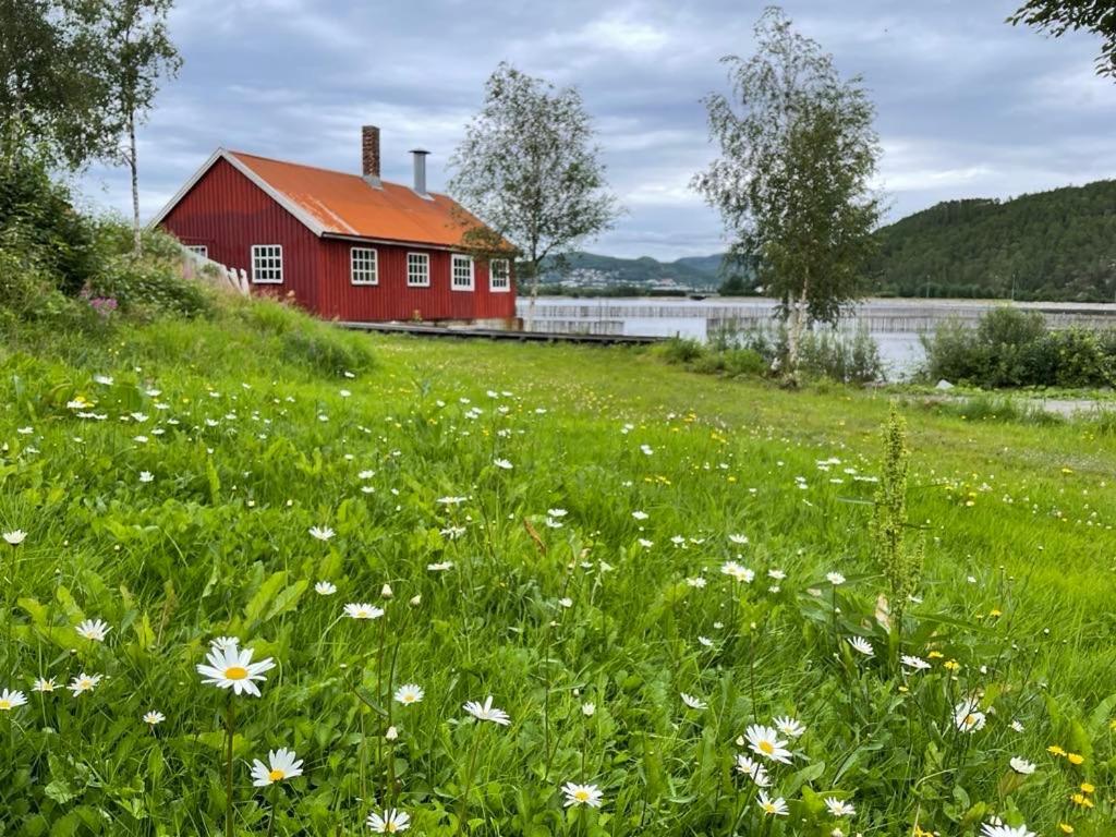 Stille Og Landlig, Men Sentrumsnaer Leilighet Namsos Exterior foto
