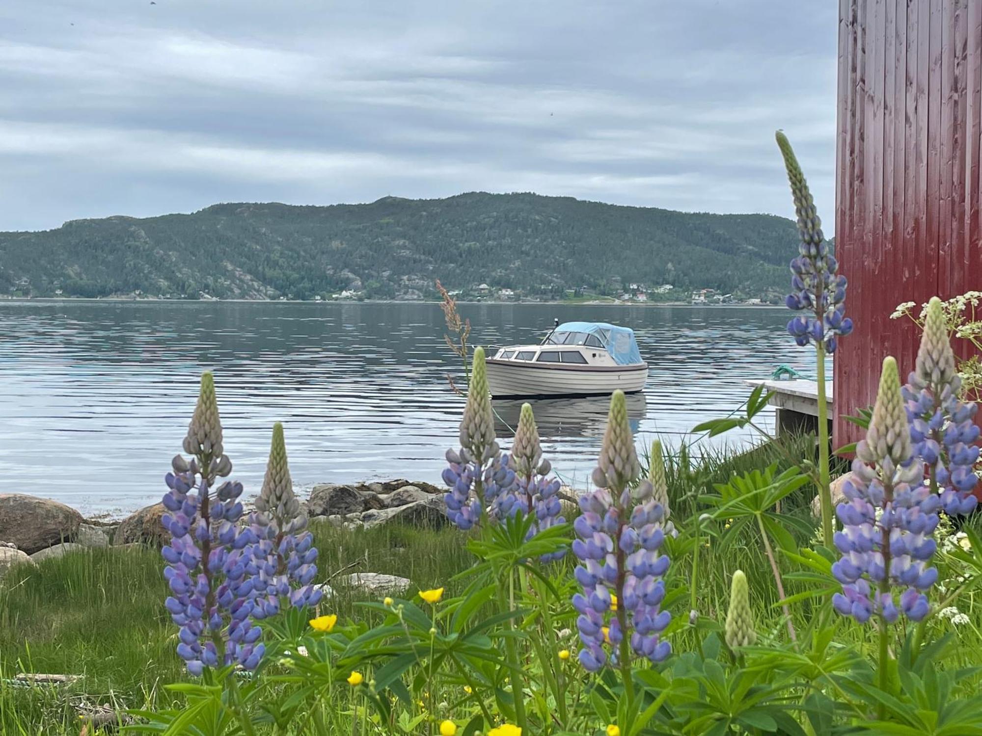 Stille Og Landlig, Men Sentrumsnaer Leilighet Namsos Exterior foto
